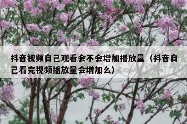 抖音视频自己观看会不会增加播放量（抖音自己看完视频播放量会增加么） 第1张