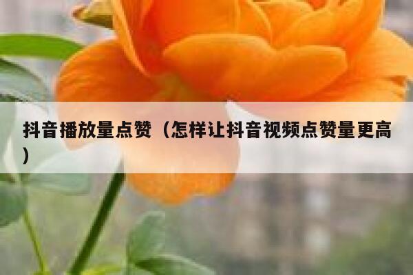 抖音播放量点赞(怎样让抖音视频点赞量更高) 第1张 抖音播放量点赞(怎样让抖音视频点赞量更高) 第1张