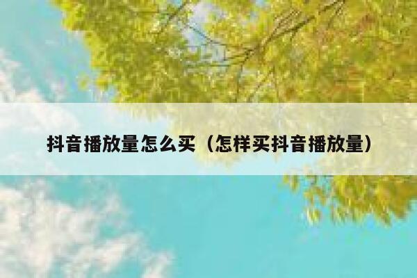 抖音播放量怎么买(怎样买抖音播放量) 第1张 抖音播放量怎么买(怎样买抖音播放量) 第1张