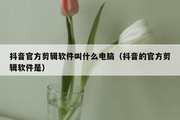 抖音官方剪辑软件叫什么电脑（抖音的官方剪辑软件是） 第1张