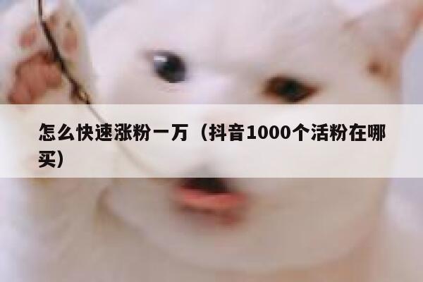 怎么快速涨粉一万（抖音1000个活粉在哪买） 第1张