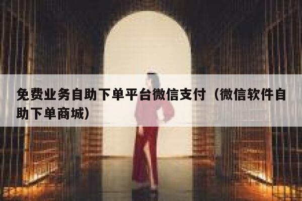 免费业务自助下单平台微信支付（微信软件自助下单商城） 第1张