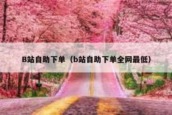 B站自助下单(b站自助下单全网最低) 第1张 B站自助下单(b站自助下单全网最低) 第1张