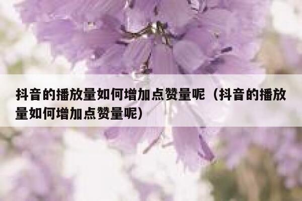 抖音的播放量如何增加点赞量呢(抖音的播放量如何增加点赞量呢) 第1张 抖音的播放量如何增加点赞量呢(抖音的播放量如何增加点赞量呢) 第1张