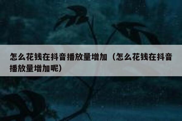 怎么花钱在抖音播放量增加(怎么花钱在抖音播放量增加呢) 第1张 怎么花钱在抖音播放量增加(怎么花钱在抖音播放量增加呢) 第1张