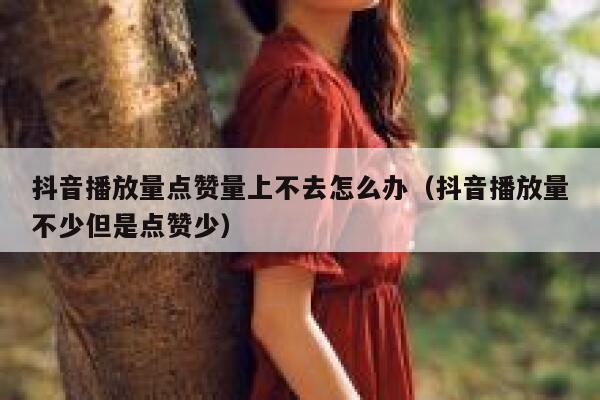抖音播放量点赞量上不去怎么办(抖音播放量不少但是点赞少) 第1张 抖音播放量点赞量上不去怎么办(抖音播放量不少但是点赞少) 第1张