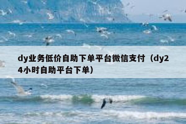 dy业务低价自助下单平台微信支付（dy24小时自助平台下单） 第1张