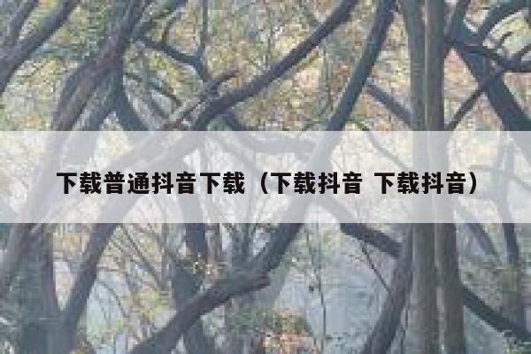 下载普通抖音下载（下载抖音 下载抖音） 第1张