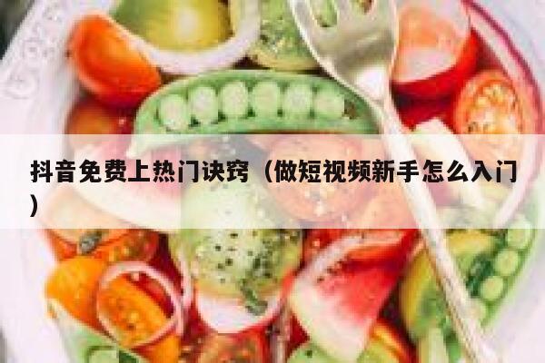 抖音免费上热门诀窍（做短视频新手怎么入门） 第1张