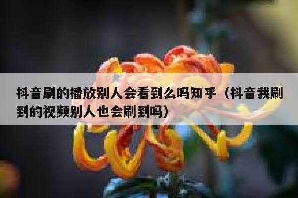 抖音刷的播放别人会看到么吗知乎(抖音我刷到的视频别人也会刷到吗) 第1张 抖音刷的播放别人会看到么吗知乎(抖音我刷到的视频别人也会刷到吗) 第1张
