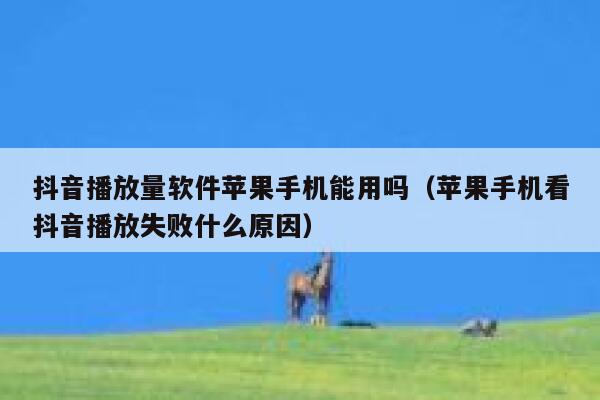 抖音播放量软件苹果手机能用吗（苹果手机看抖音播放失败什么原因） 第1张