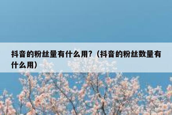 抖音的粉丝量有什么用?（抖音的粉丝数量有什么用） 第1张