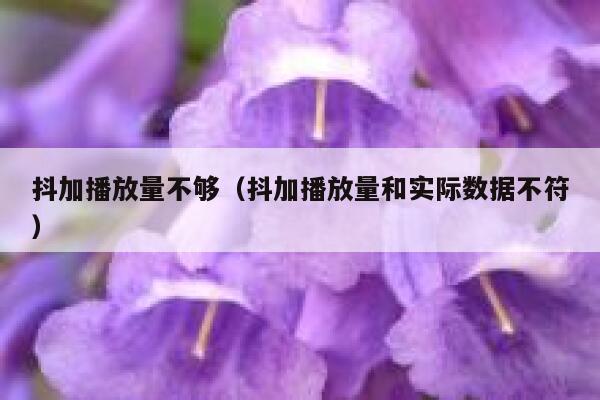 抖加播放量不够(抖加播放量和实际数据不符) 第1张 抖加播放量不够(抖加播放量和实际数据不符) 第1张