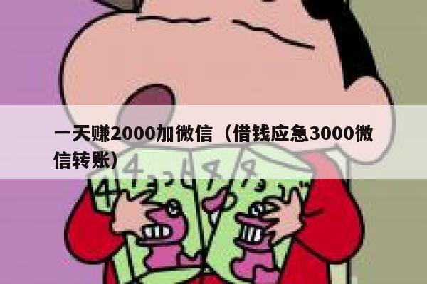 一天赚2000加微信（借钱应急3000微信转账） 第1张