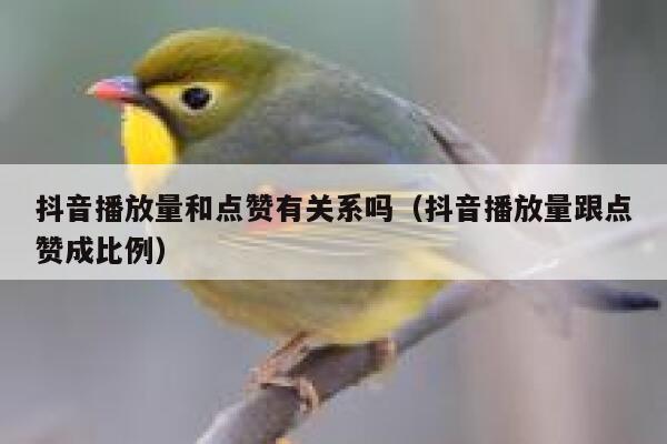 抖音播放量和点赞有关系吗（抖音播放量跟点赞成比例） 第1张