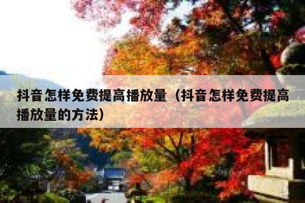 抖音怎样免费提高播放量（抖音怎样免费提高播放量的方法） 第1张