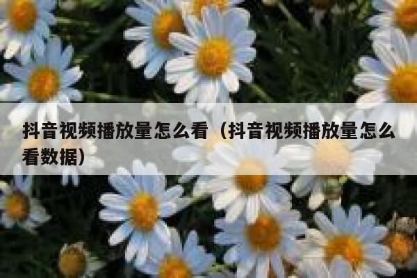 抖音视频播放量怎么看(抖音视频播放量怎么看数据) 第1张 抖音视频播放量怎么看(抖音视频播放量怎么看数据) 第1张