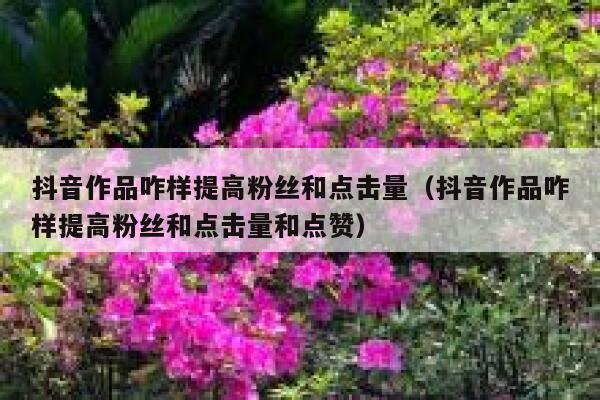 抖音作品咋样提高粉丝和点击量（抖音作品咋样提高粉丝和点击量和点赞） 第1张