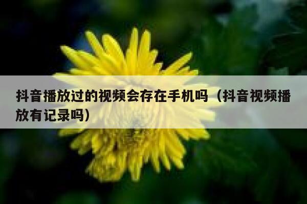 抖音播放过的视频会存在手机吗（抖音视频播放有记录吗） 第1张
