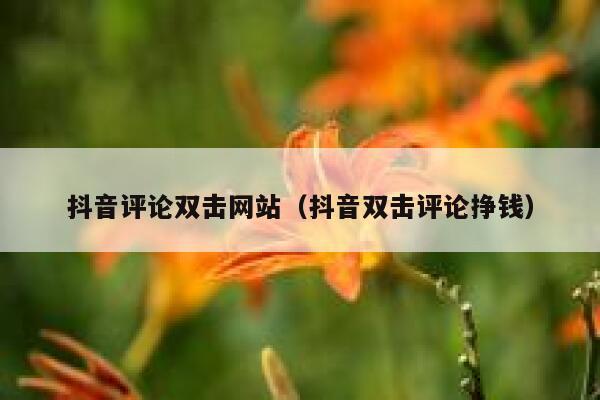 抖音评论双击网站(抖音双击评论挣钱) 第1张 抖音评论双击网站(抖音双击评论挣钱) 第1张