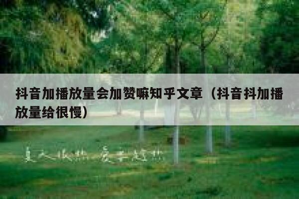 抖音加播放量会加赞嘛知乎文章(抖音抖加播放量给很慢) 第1张 抖音加播放量会加赞嘛知乎文章(抖音抖加播放量给很慢) 第1张