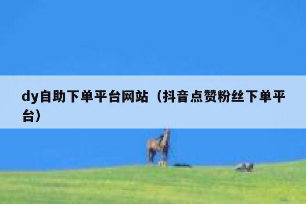dy自助下单平台网站(抖音点赞粉丝下单平台) 第1张 dy自助下单平台网站(抖音点赞粉丝下单平台) 第1张