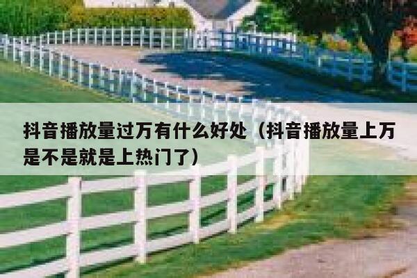 抖音播放量过万有什么好处（抖音播放量上万是不是就是上热门了） 第1张