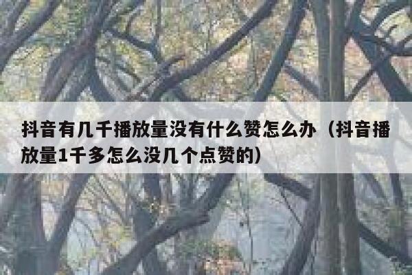 抖音有几千播放量没有什么赞怎么办（抖音播放量1千多怎么没几个点赞的） 第1张