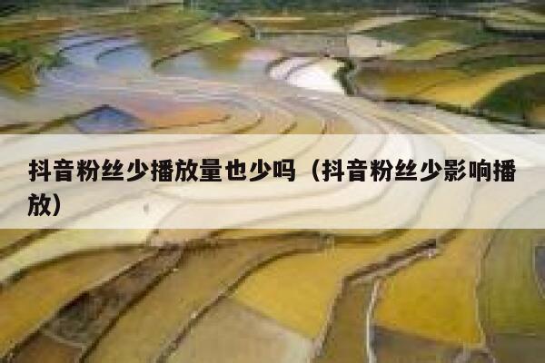抖音粉丝少播放量也少吗（抖音粉丝少影响播放） 第1张