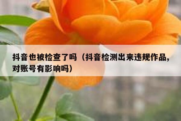 抖音也被检查了吗(抖音检测出来违规作品,对账号有影响吗) 第1张 抖音也被检查了吗(抖音检测出来违规作品,对账号有影响吗) 第1张