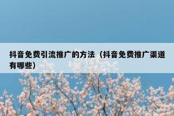 抖音免费引流推广的方法（抖音免费推广渠道有哪些） 第1张