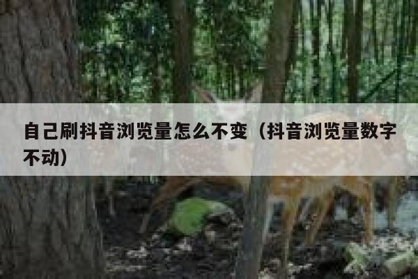 自己刷抖音浏览量怎么不变（抖音浏览量数字不动） 第1张