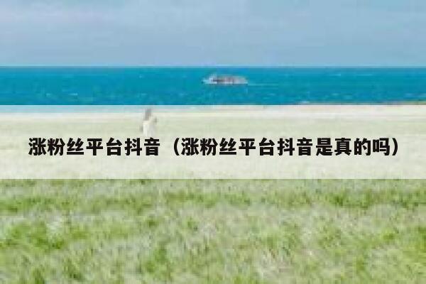 涨粉丝平台抖音（涨粉丝平台抖音是真的吗） 第1张
