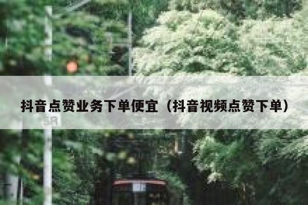 抖音点赞业务下单便宜（抖音视频点赞下单） 第1张