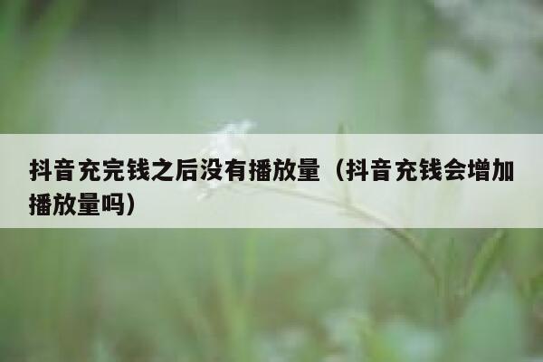 抖音充完钱之后没有播放量(抖音充钱会增加播放量吗) 第1张 抖音充完钱之后没有播放量(抖音充钱会增加播放量吗) 第1张