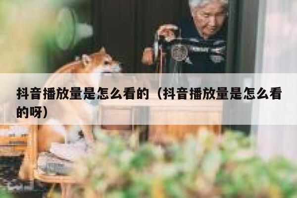 抖音播放量是怎么看的(抖音播放量是怎么看的呀) 第1张 抖音播放量是怎么看的(抖音播放量是怎么看的呀) 第1张