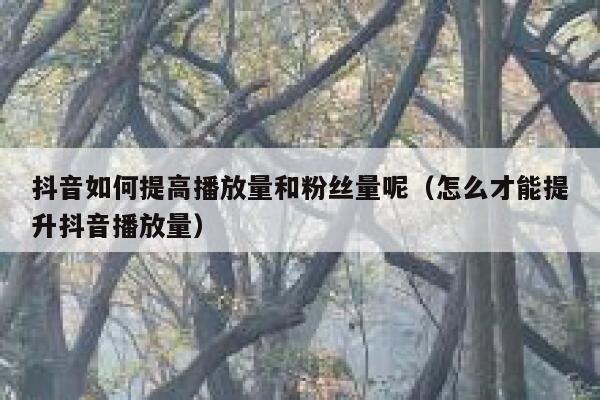 抖音如何提高播放量和粉丝量呢（怎么才能提升抖音播放量） 第1张