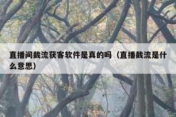 直播间截流获客软件是真的吗(直播截流是什么意思) 第1张 直播间截流获客软件是真的吗(直播截流是什么意思) 第1张