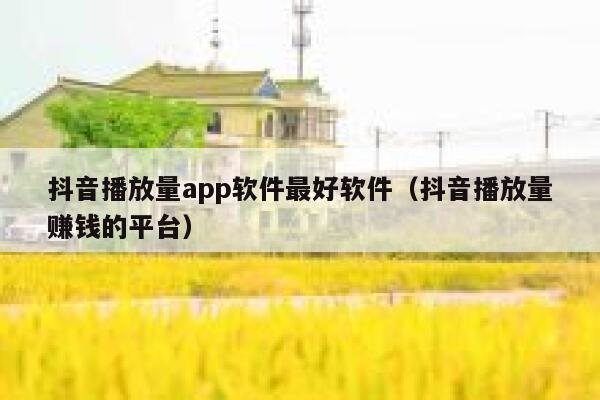 抖音播放量app软件最好软件(抖音播放量赚钱的平台) 第1张 抖音播放量app软件最好软件(抖音播放量赚钱的平台) 第1张