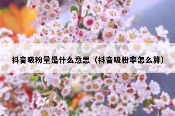 抖音吸粉量是什么意思（抖音吸粉率怎么算） 第1张
