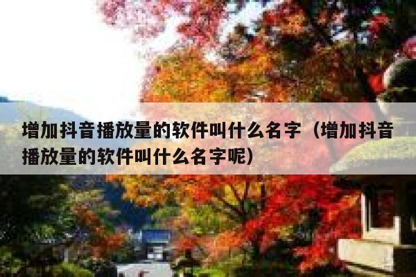 增加抖音播放量的软件叫什么名字(增加抖音播放量的软件叫什么名字呢) 第1张 增加抖音播放量的软件叫什么名字(增加抖音播放量的软件叫什么名字呢) 第1张