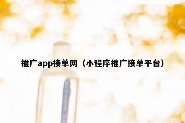 推广app接单网（小程序推广接单平台） 第1张