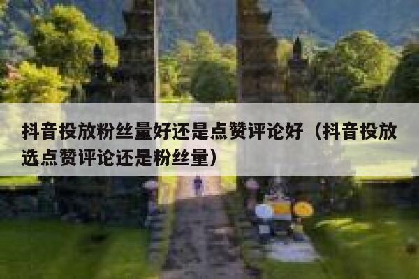 抖音投放粉丝量好还是点赞评论好（抖音投放选点赞评论还是粉丝量） 第1张