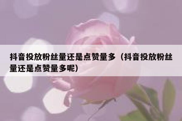 抖音投放粉丝量还是点赞量多（抖音投放粉丝量还是点赞量多呢） 第1张