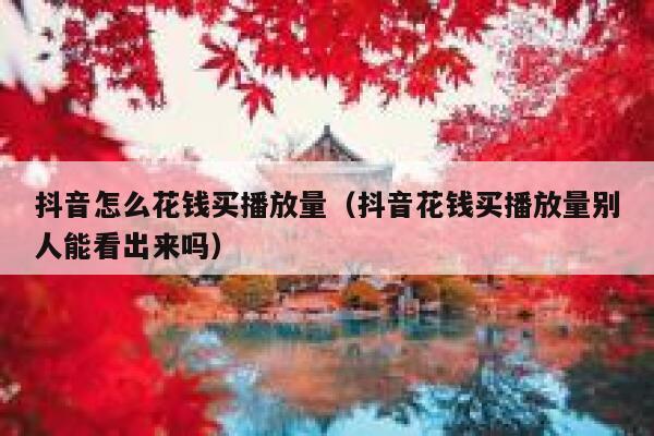 抖音怎么花钱买播放量（抖音花钱买播放量别人能看出来吗） 第1张