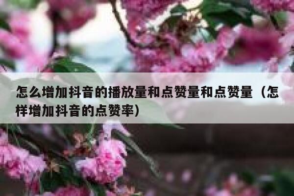 怎么增加抖音的播放量和点赞量和点赞量（怎样增加抖音的点赞率） 第1张