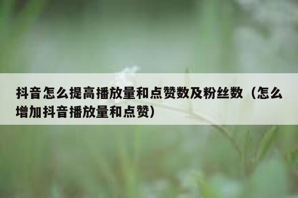 抖音怎么提高播放量和点赞数及粉丝数（怎么增加抖音播放量和点赞） 第1张