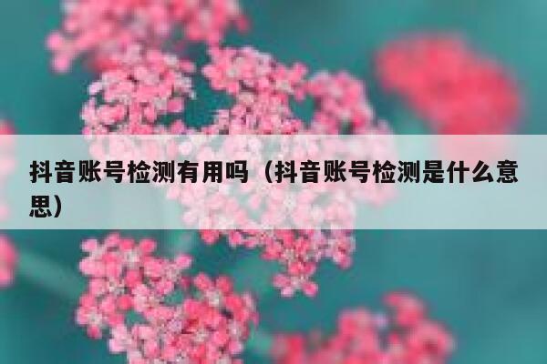抖音账号检测有用吗（抖音账号检测是什么意思） 第1张