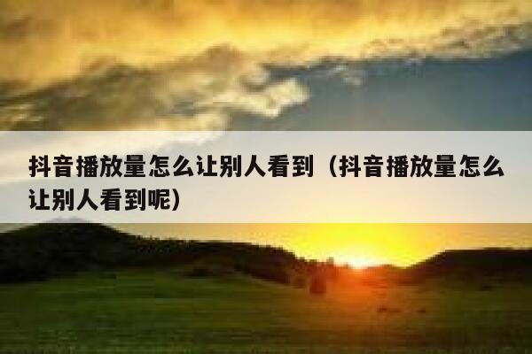 抖音播放量怎么让别人看到（抖音播放量怎么让别人看到呢） 第1张