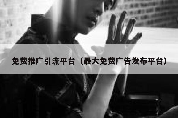 免费推广引流平台（最大免费广告发布平台） 第1张